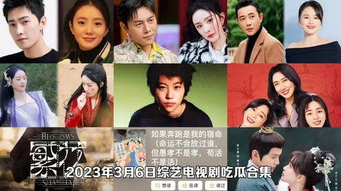 娱乐圈吃瓜合集视频网站,吃瓜合集视频网站深度解析